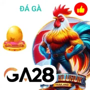 c168 Game 08